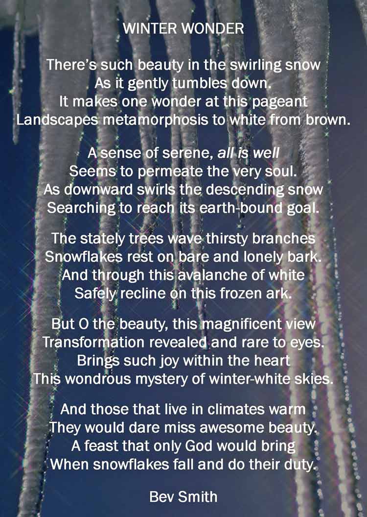 Winter Wonder